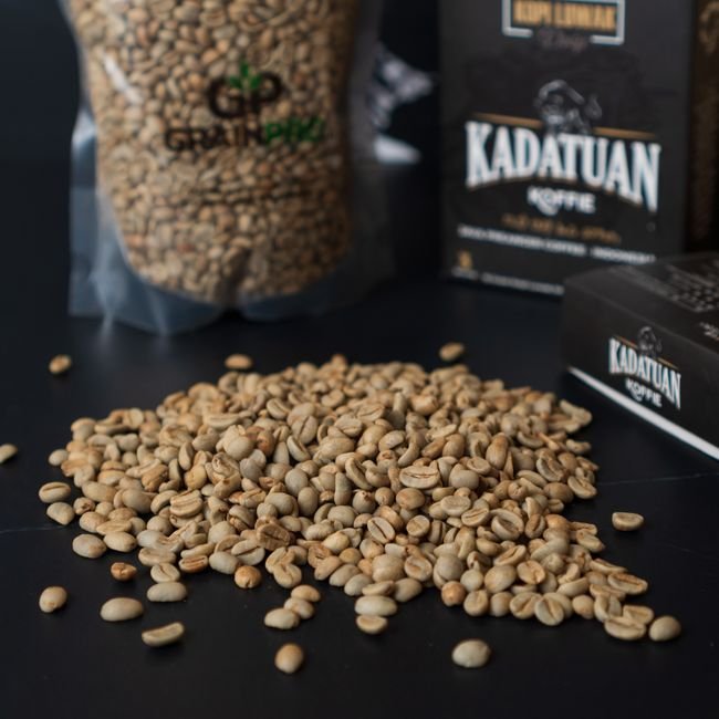 Grains de café verts et plante de caféier.