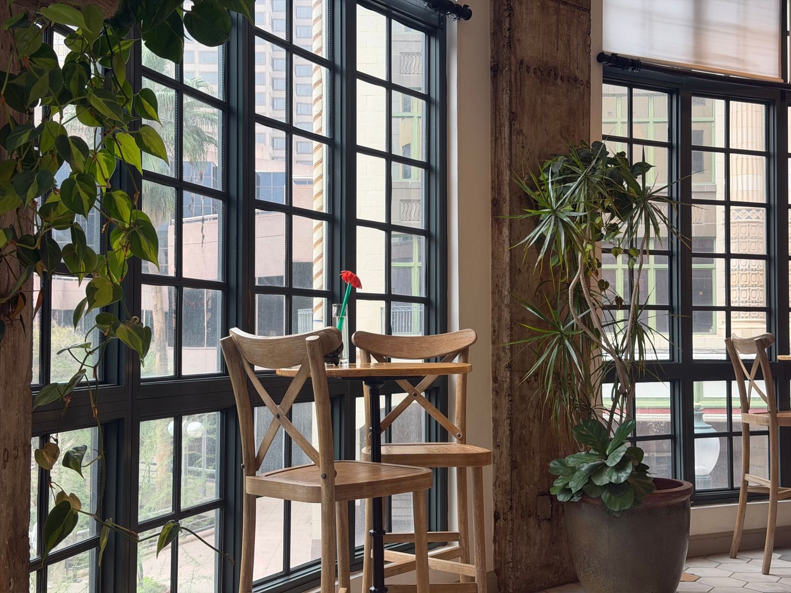 Intérieur lumineux d'un café rempli de plantes.